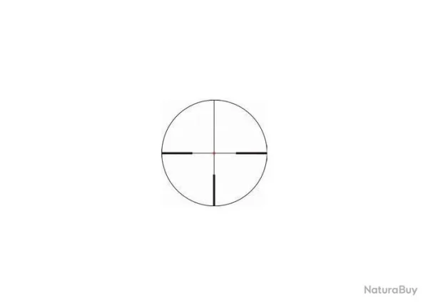 Lunette De Tir Bushnell Nitro 1-6X24 Mm – Reticule Lumineux 4a Acheter Maintenant 3